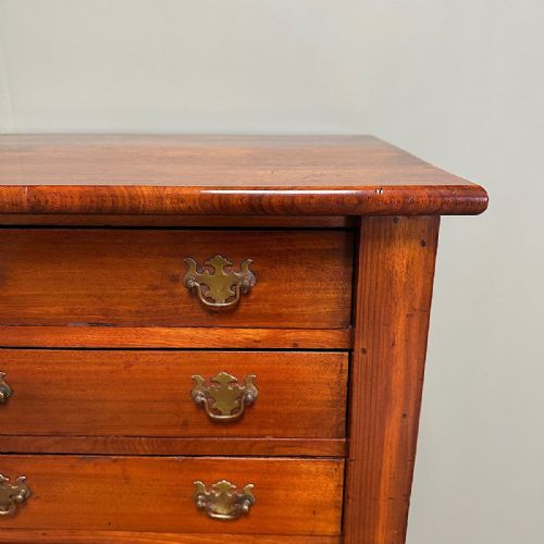 SPECTACULAR WALNUT VICTORIAN ANTIQUE WELLINGTON CHEST - ADDITIONAL PHOTO 3