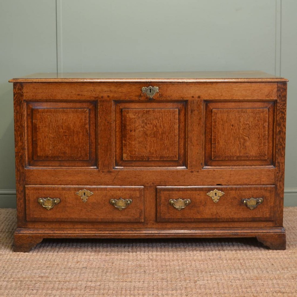 Stunning Georgian Warm Oak Antique Mule Chest
