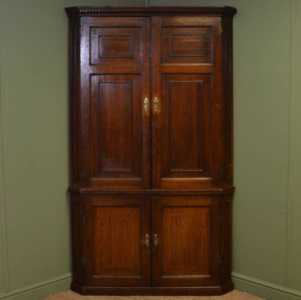 Georgian Country Oak Antique Floor Standing Cupboard