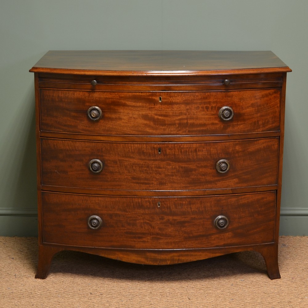 Spectacular Small Bow Fronted Antique Regency Chest Of Drawers with Brushing Slide