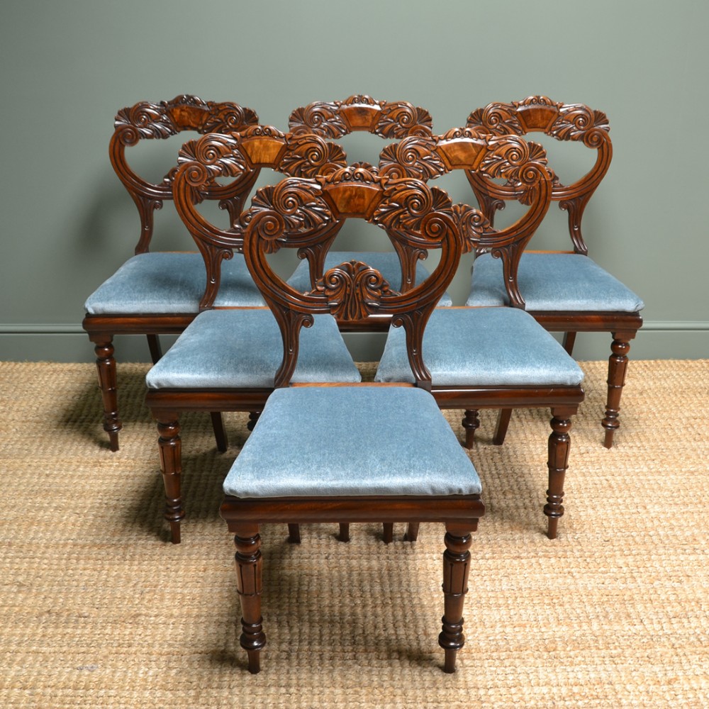 Spectacular Set of Six William IV Mahogany Antique Dining Chairs