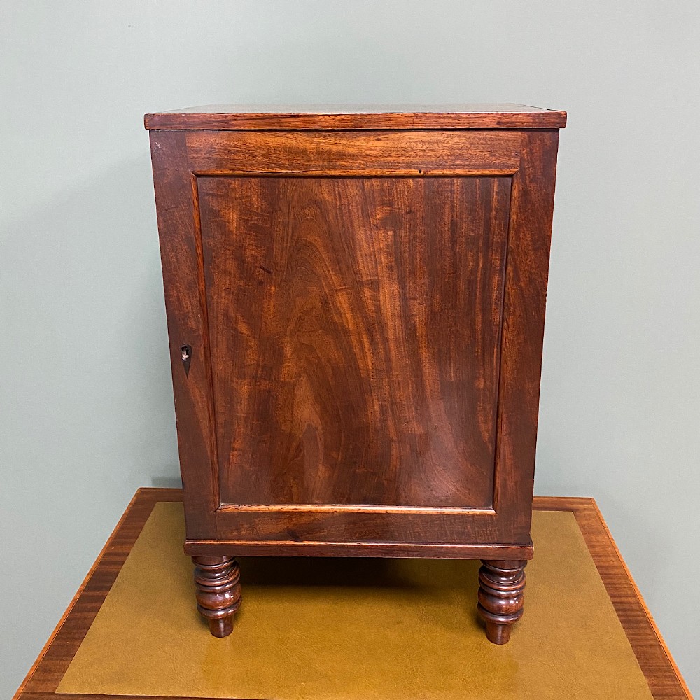 Spectacular Small Regency Antique Mahogany Collectors Cabinet