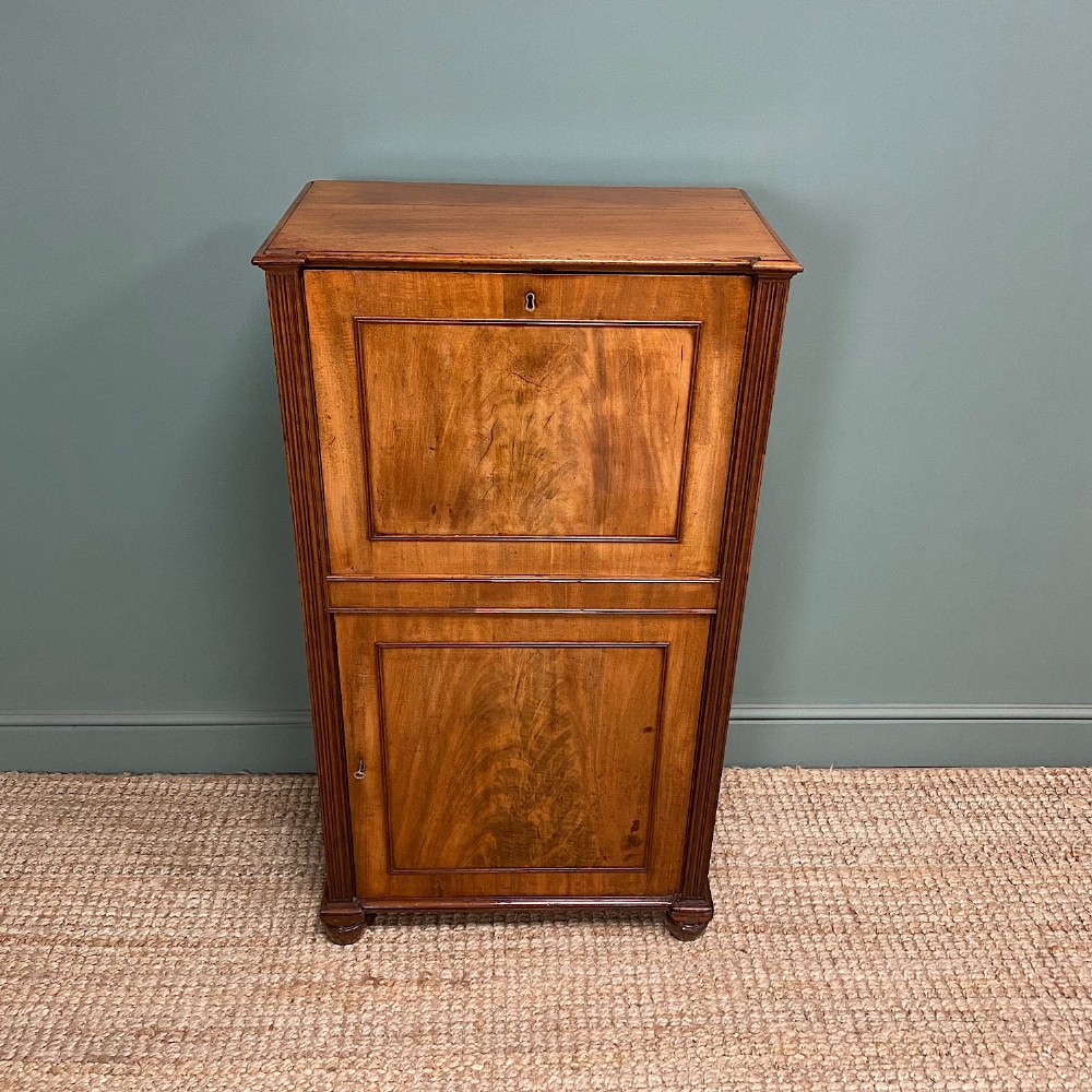 Regency Mahogany Antique Estate Cupboard with Fitted Interior
