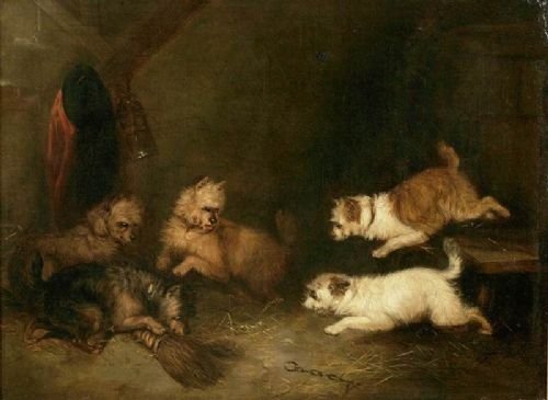 Lovely Victorian Oil Painting of Five Terriers in a Barn,george Armfield