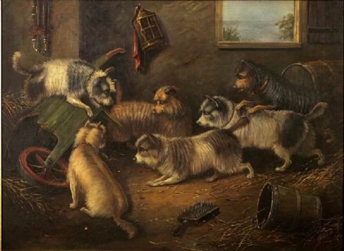 Super Victorian Oil Painting of Six Terriers in a Barn,george Armfield 
Signed George Armfield