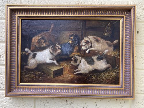Super Victorian Oil Painting of Five Terriers in a Barn by George Armfield