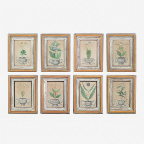 Eight 18th Century Botanical Hand Coloured Engravings by Michael Rupert Besler