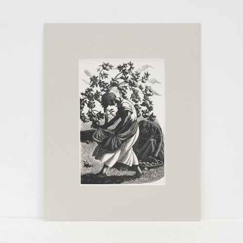 Clare Leighton (1898–1989) – 'The Apple Harvest', 1935 Wood Engraving from Four Hedges, Mounted