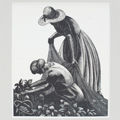 fig 1. Black and white wood engraving depicting two women harvesting in a strawberry patch, presented within a grey card mount.