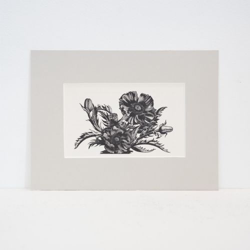 Clare Leighton (1898–1989) – 'Poppies', 1935 Wood Engraving from Four Hedges, Mounted