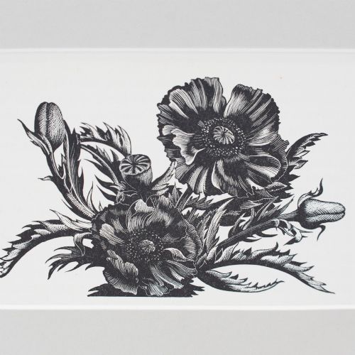fig 1. A black and white wood engraving depicting detailed poppy flowers and seed pods, presented within a grey card mount.