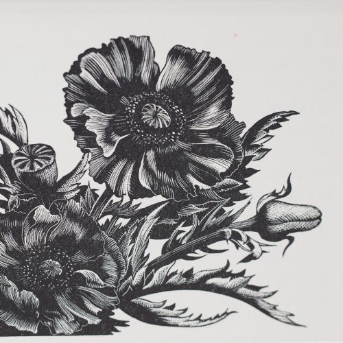 fig 2. A black and white wood engraving depicting detailed poppy flowers and seed pods, presented within a grey card mount.