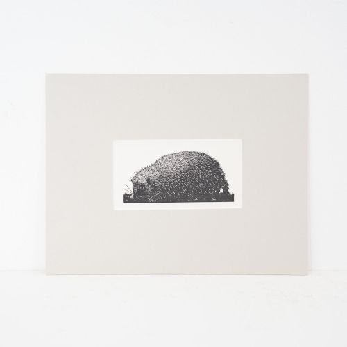 Clare Leighton (1898–1989) – 'The Hedgehog', 1935 Wood Engraving from Four Hedges, Mounted