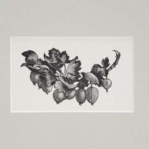 fig 1. A monochrome wood engraving print depicting gooseberries on a leafy branch, set inside a neutral light grey mount.