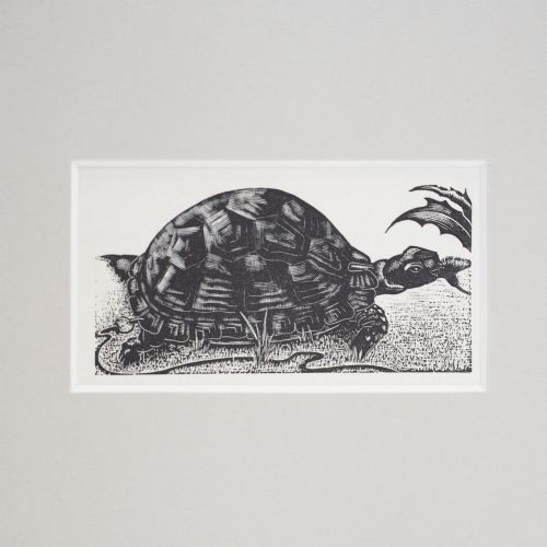 fig 1. A monochrome wood engraving depicting a tortoise walking across textured ground beside foliage, presented within a light grey mount.
