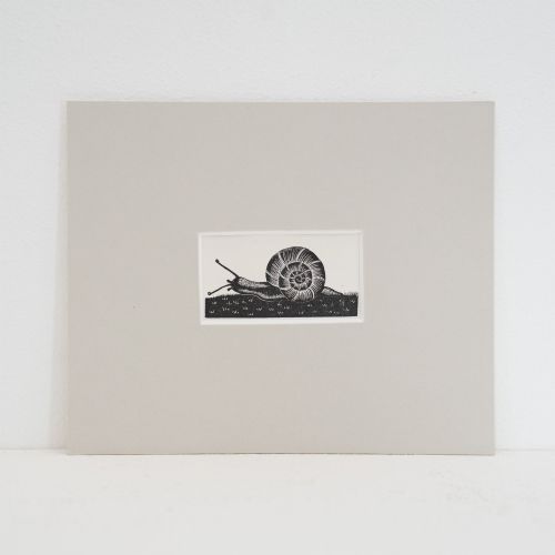 Clare Leighton (1898–1989) – 'The Snail', 1935 Wood Engraving from Four Hedges, Mounted