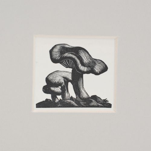 fig 1. A small black and white 1935 wood engraving of two mushrooms mounted within a square neutral mat board.