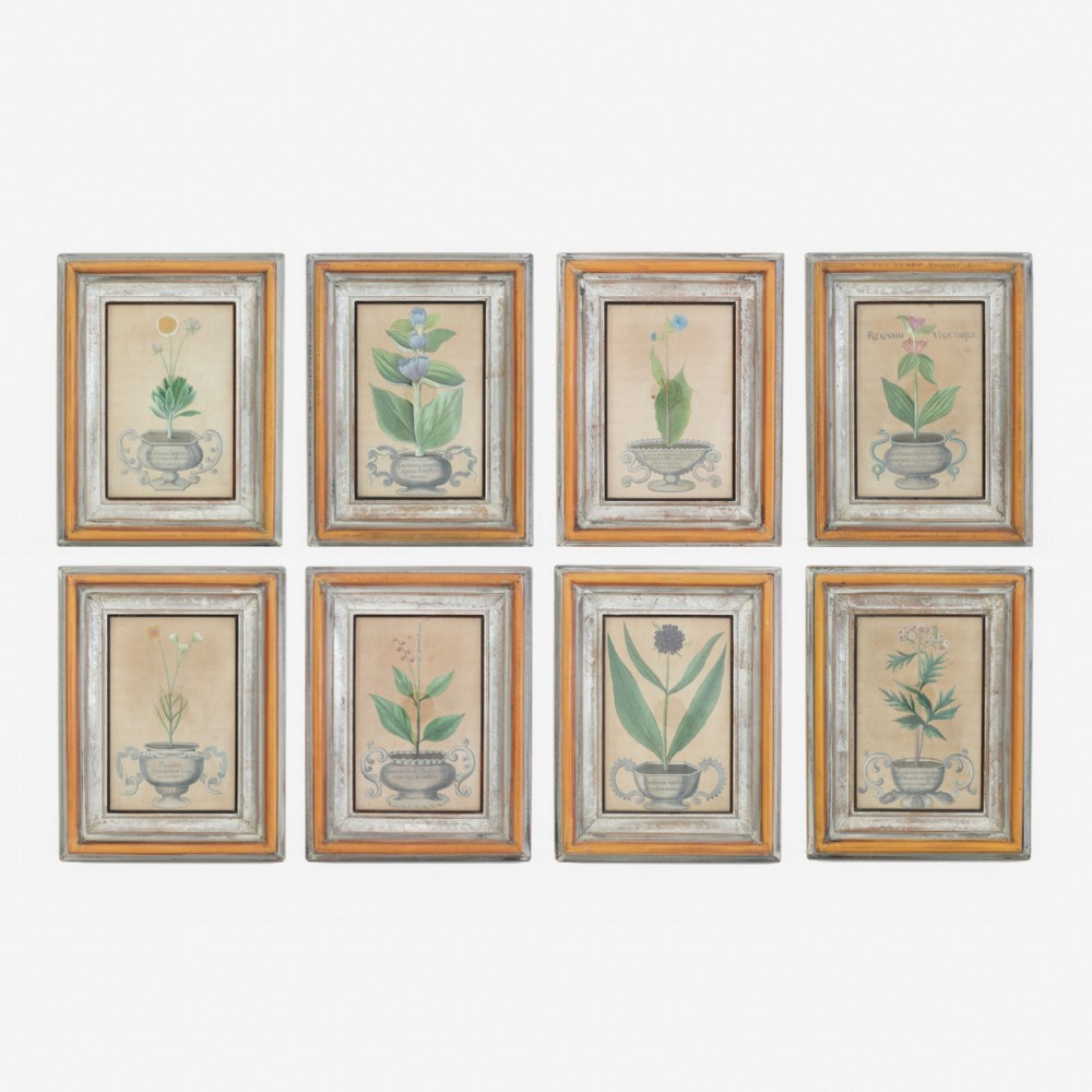 Eight 18th Century botanical hand coloured engravings by Michael Rupert Besler
