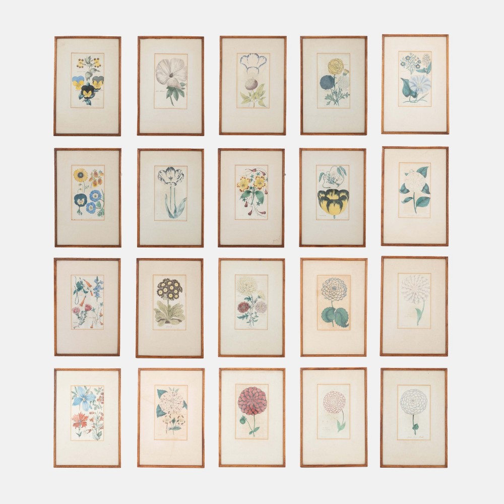 A framed early Victorian botanical engraving featuring yellow and blue floral illustrations on a cream mount inside a thin wooden frame. View II