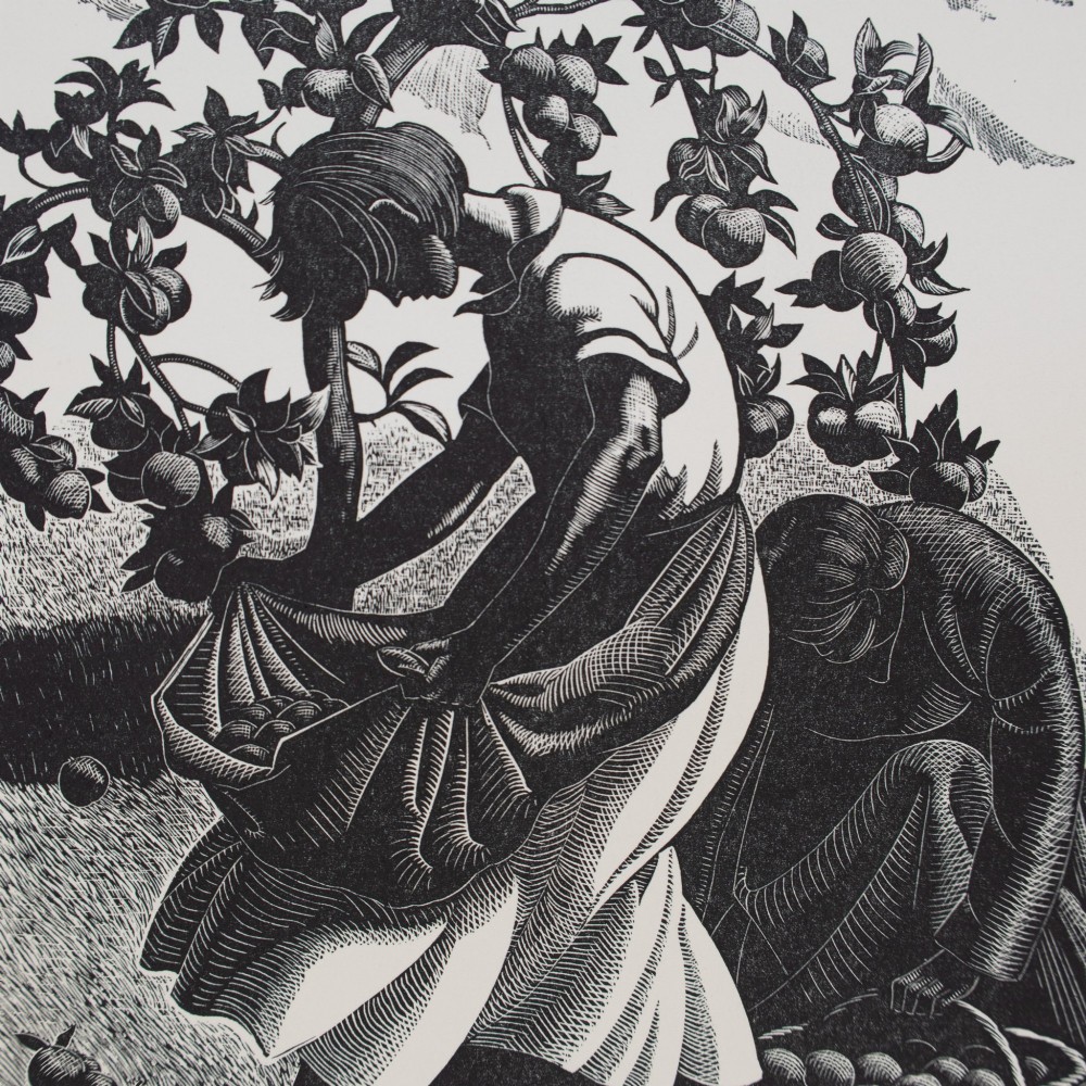 A monochrome wood engraving depicting a figure harvesting apples under a laden tree, set within a neutral card mount. View III