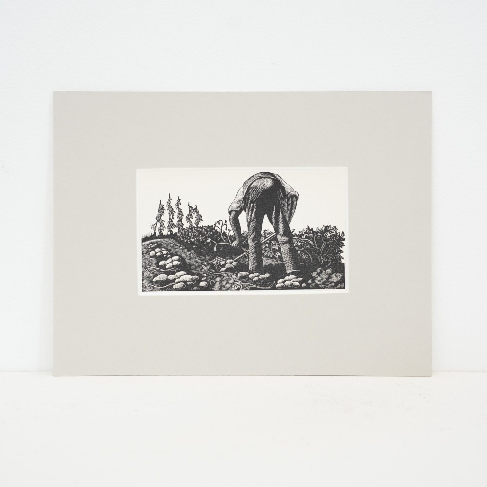 A monochrome 1930s wood engraving depicting a figure digging potatoes in a garden, presented inside a neutral light cream mount.
