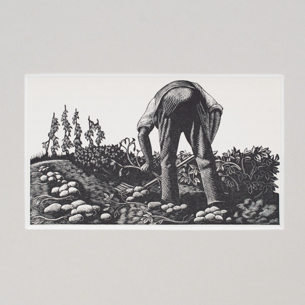 A monochrome 1930s wood engraving depicting a figure digging potatoes in a garden, presented inside a neutral light cream mount. View II