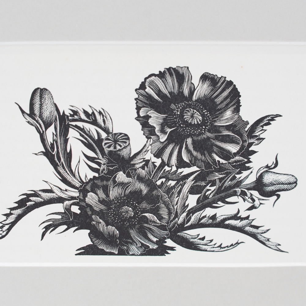 A black and white wood engraving depicting detailed poppy flowers and seed pods, presented within a grey card mount. View II