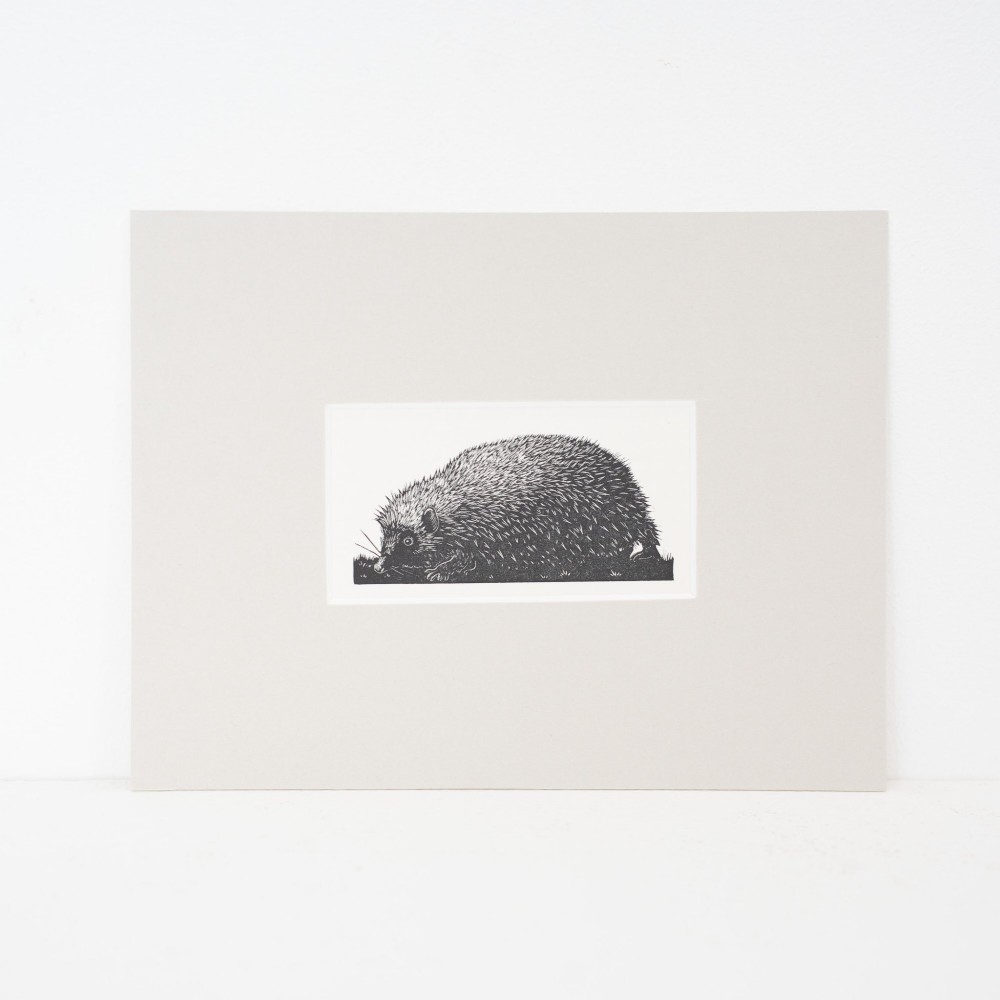 A black and white wood engraving of a hedgehog in profile amidst grass, set within a neutral beige cardboard mount.