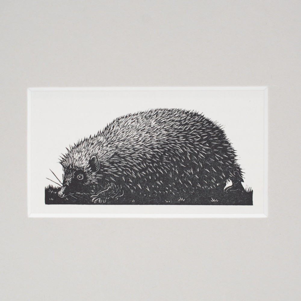 A black and white wood engraving of a hedgehog in profile amidst grass, set within a neutral beige cardboard mount. View II