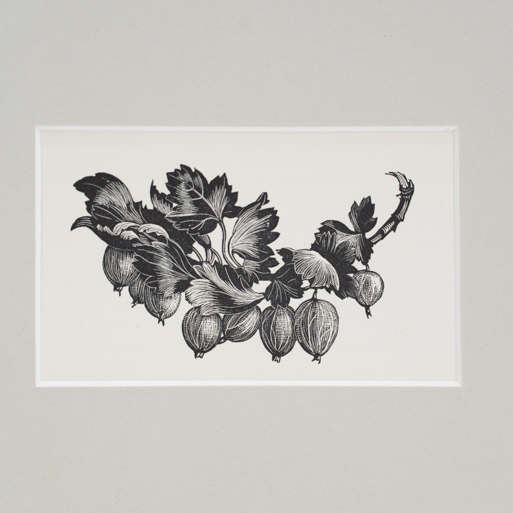 A monochrome wood engraving print depicting gooseberries on a leafy branch, set inside a neutral light grey mount. View II
