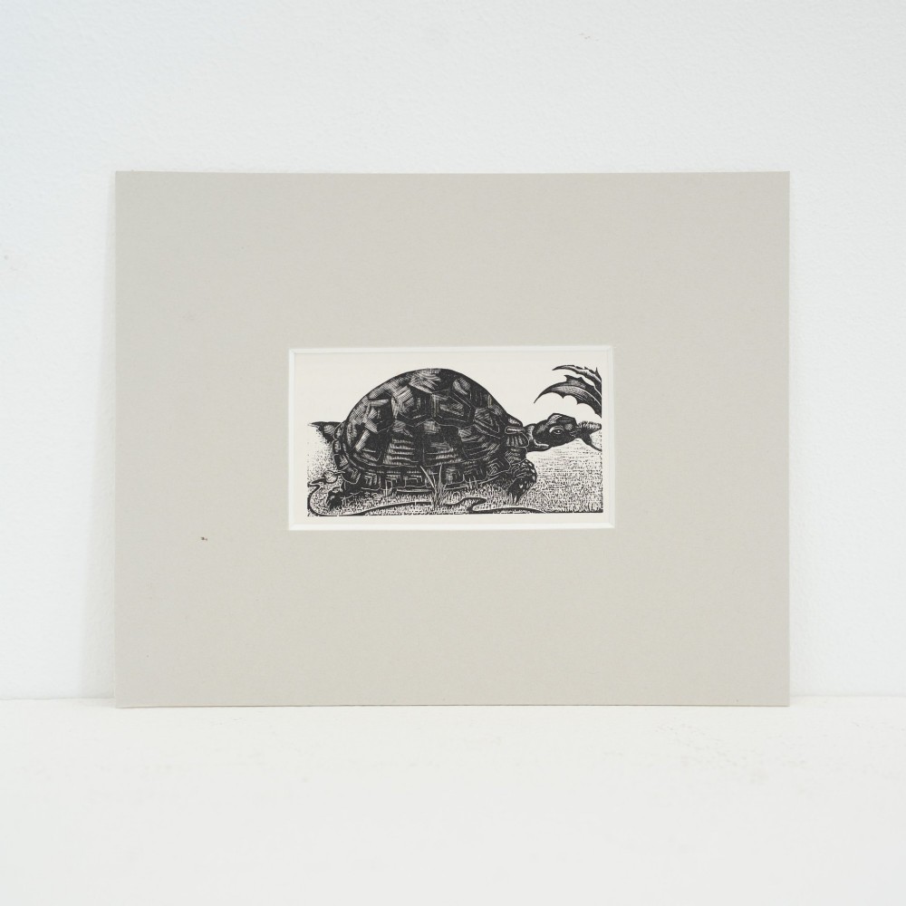 A monochrome wood engraving depicting a tortoise walking across textured ground beside foliage, presented within a light grey mount.