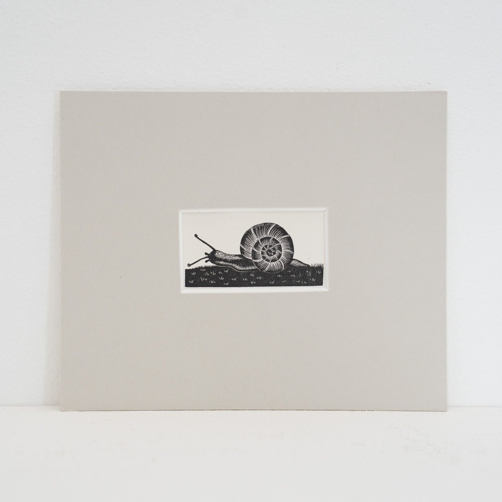 A monochrome 1935 wood engraving by Clare Leighton depicting a detailed snail on grass, displayed in a neutral window mount.