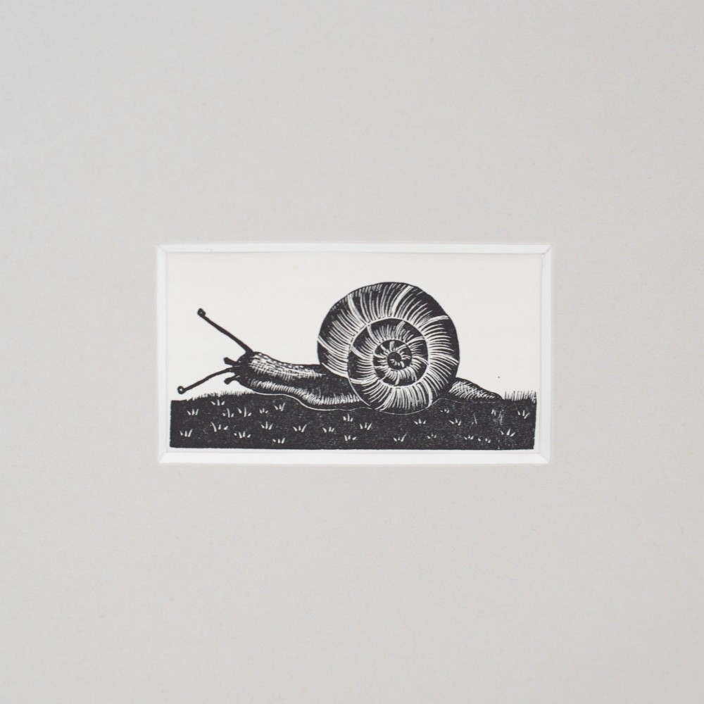 A monochrome 1935 wood engraving by Clare Leighton depicting a detailed snail on grass, displayed in a neutral window mount. View II
