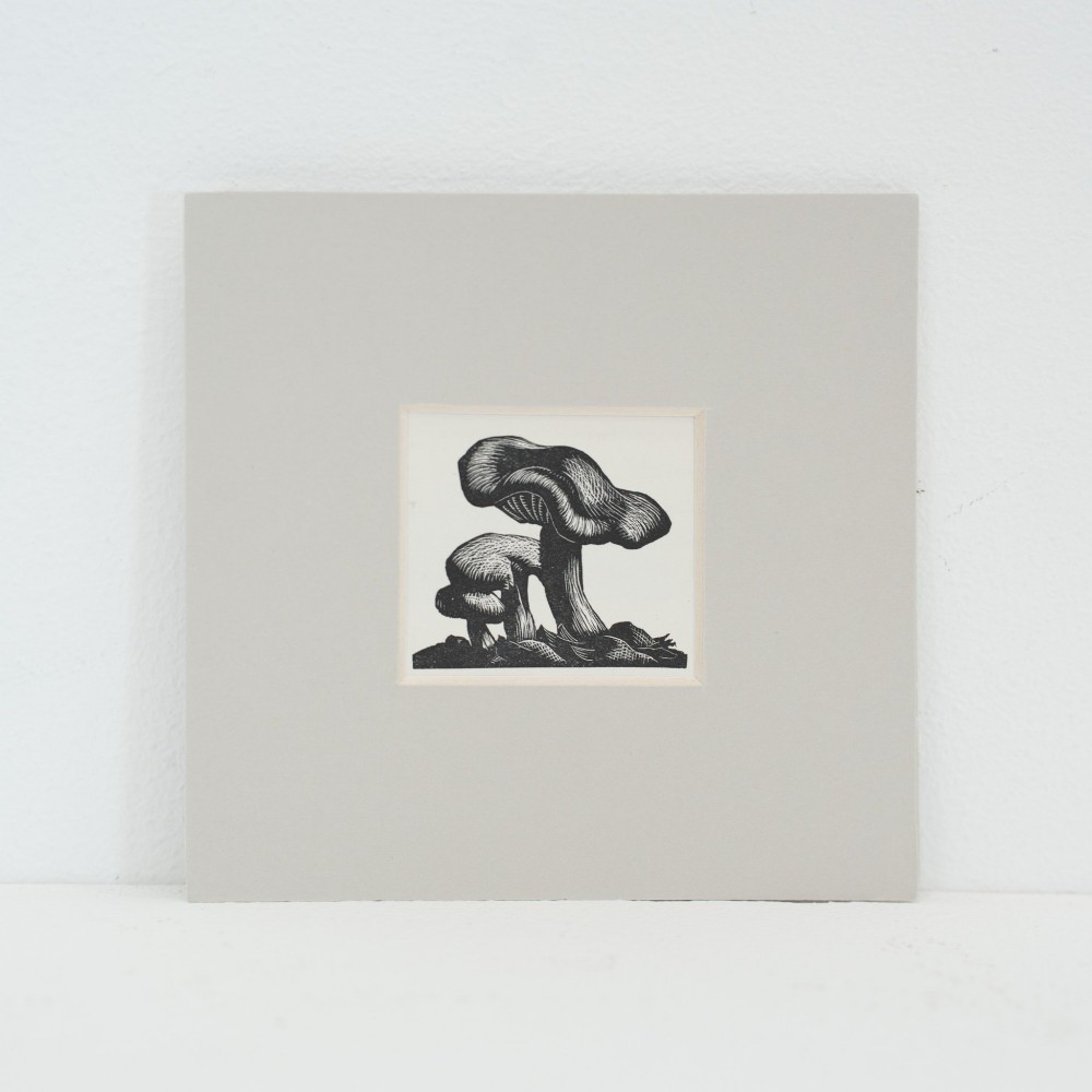 A small black and white 1935 wood engraving of two mushrooms mounted within a square neutral mat board.