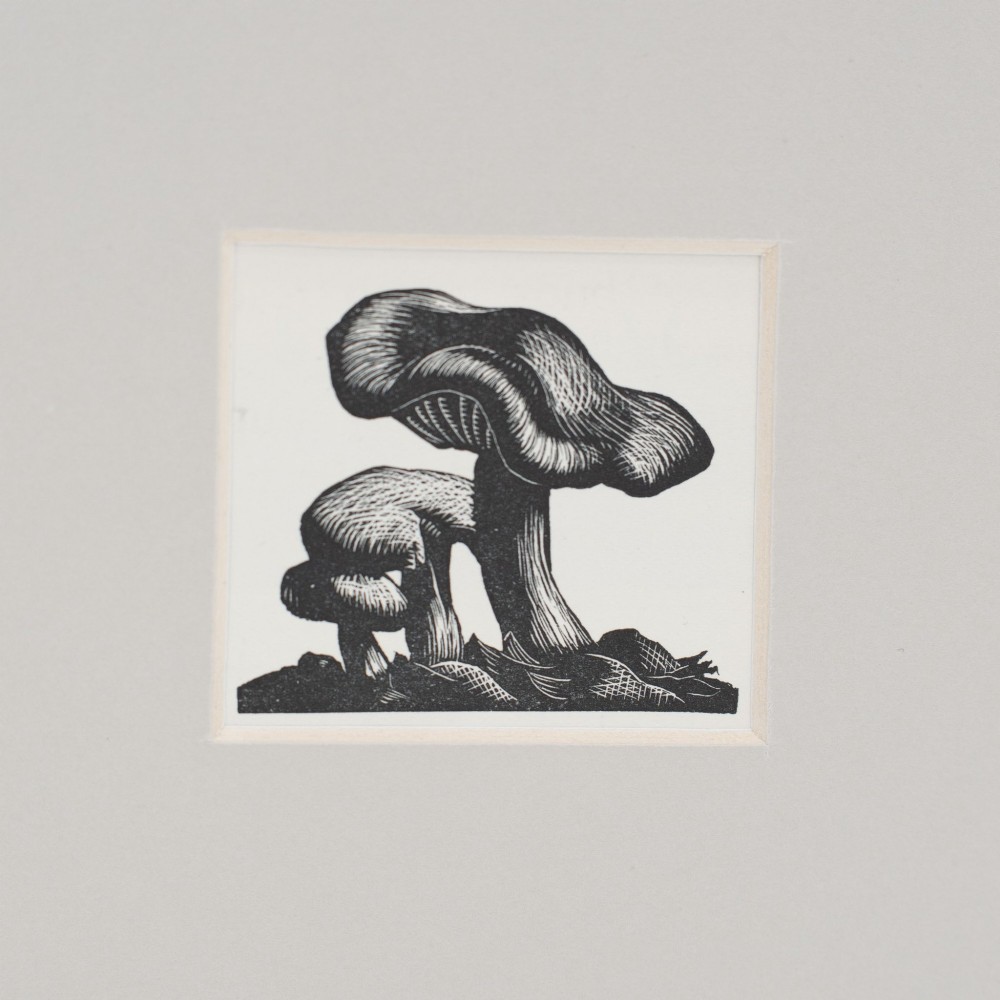 A small black and white 1935 wood engraving of two mushrooms mounted within a square neutral mat board. View II