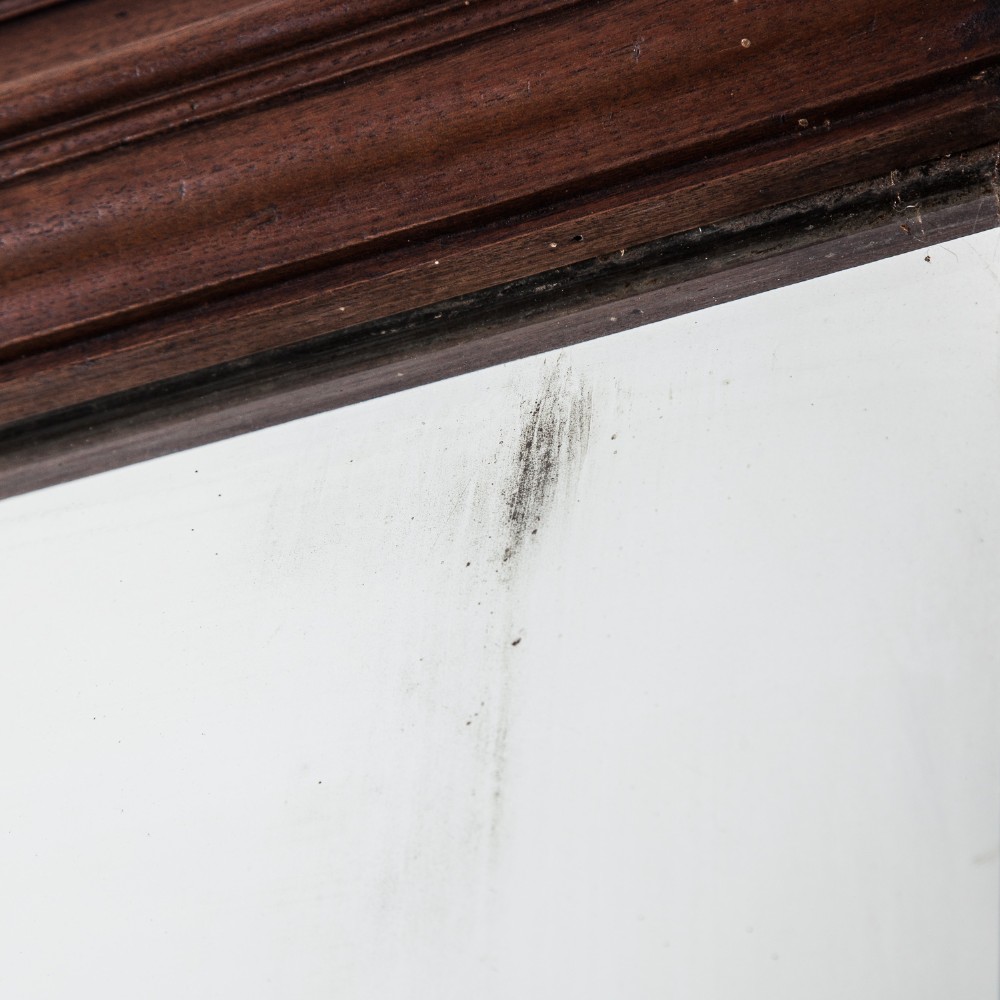 A tall rectangular 19th-century mirror featuring a dark brown moulded walnut wood frame. View V
