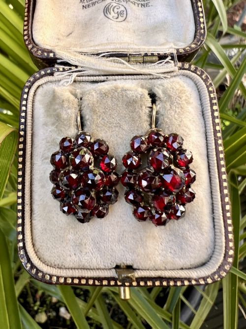 VICTORIAN GOLD BOHEMIAN GARNET CLUSTER EARRINGS - ADDITIONAL PHOTO 6