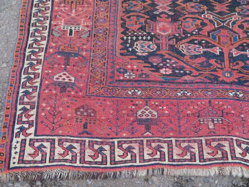 RARE ANTIQUE BAKHTIARI TRIBAL VILLAGE CARPET 300CM X 169CM - ADDITIONAL PHOTO 9