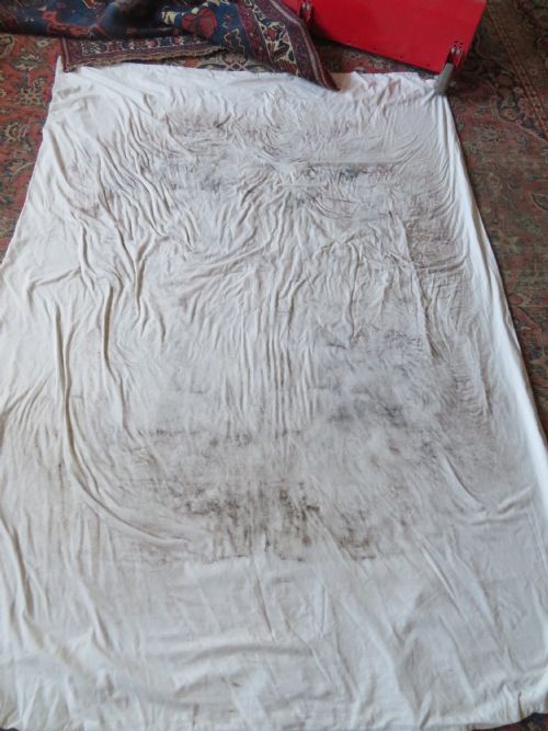 COLLECTORS EARLY ANTIQUE AFSHAR TRIBAL RUG 145CM X 120CM - ADDITIONAL PHOTO 19