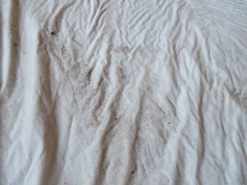ANTIQUE SHABBY CHIC MALAYER RUG 202CM X 133CM - ADDITIONAL PHOTO 17