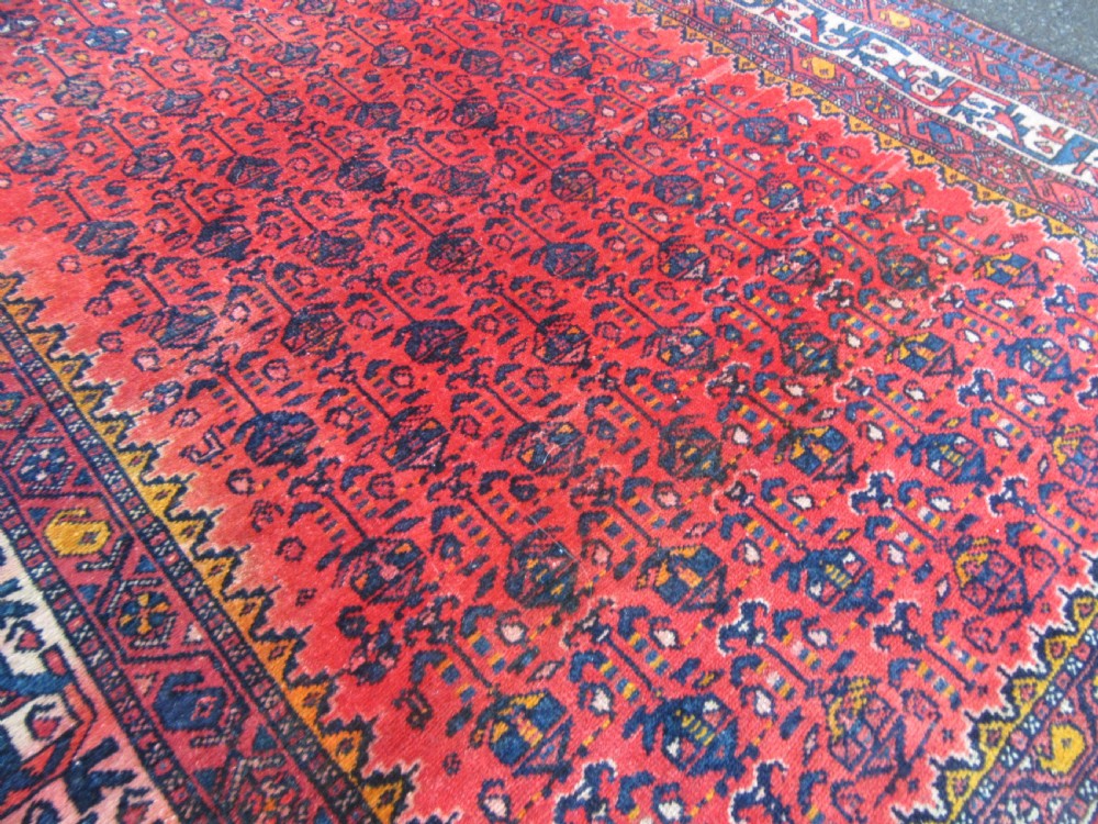 ATTRACTIVE VERMILLION RED ANTIQUE COUNTRY HOUSE SHABBY CHIC KURDISH LONG RUG. PLANT SHRUB MOTIFS. View XV
