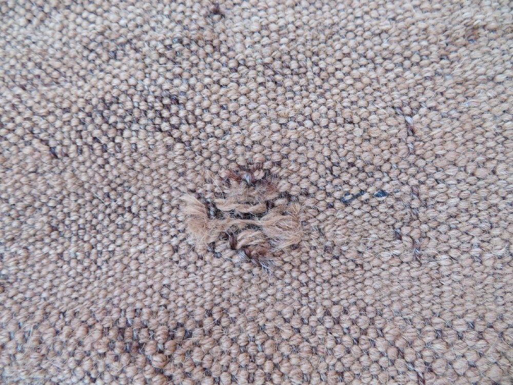 An antique flatweave rug featuring a central undyed tan wool field flanked by colourful horizontal striped end bands and braided fringe edges. View V