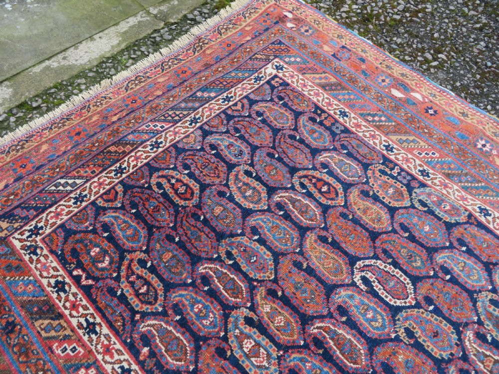 ANTIQUE AFSHAR TRIBAL RUG. AFSHAR TRIBES OF KERMAN. SOUTH PERSIA. LATE 19TH CENTURY. 146CM X 134CM. View X