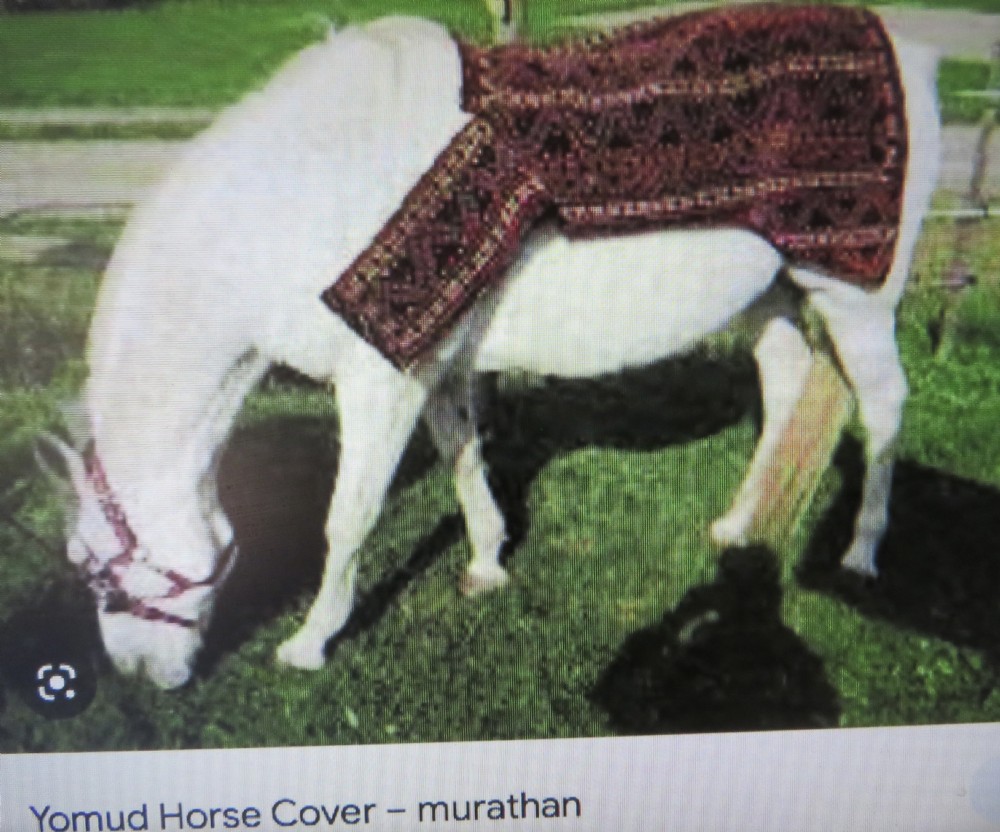 An antique cream handwoven wool Qashqai horse cover featuring colourful geometric patterns, human and camel motifs, and decorative edge tassels. View XXV