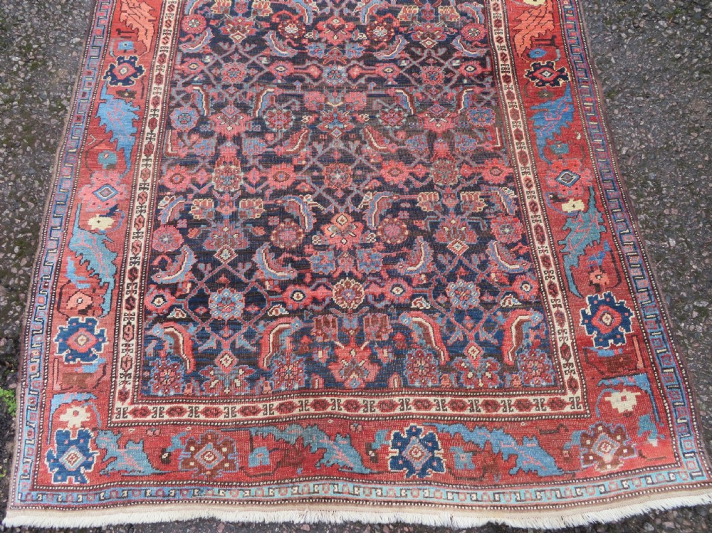 An antique Persian Bidjar Kelleh wool long rug featuring a central navy blue geometric botanical field surrounded by terracotta and blue borders. View IV