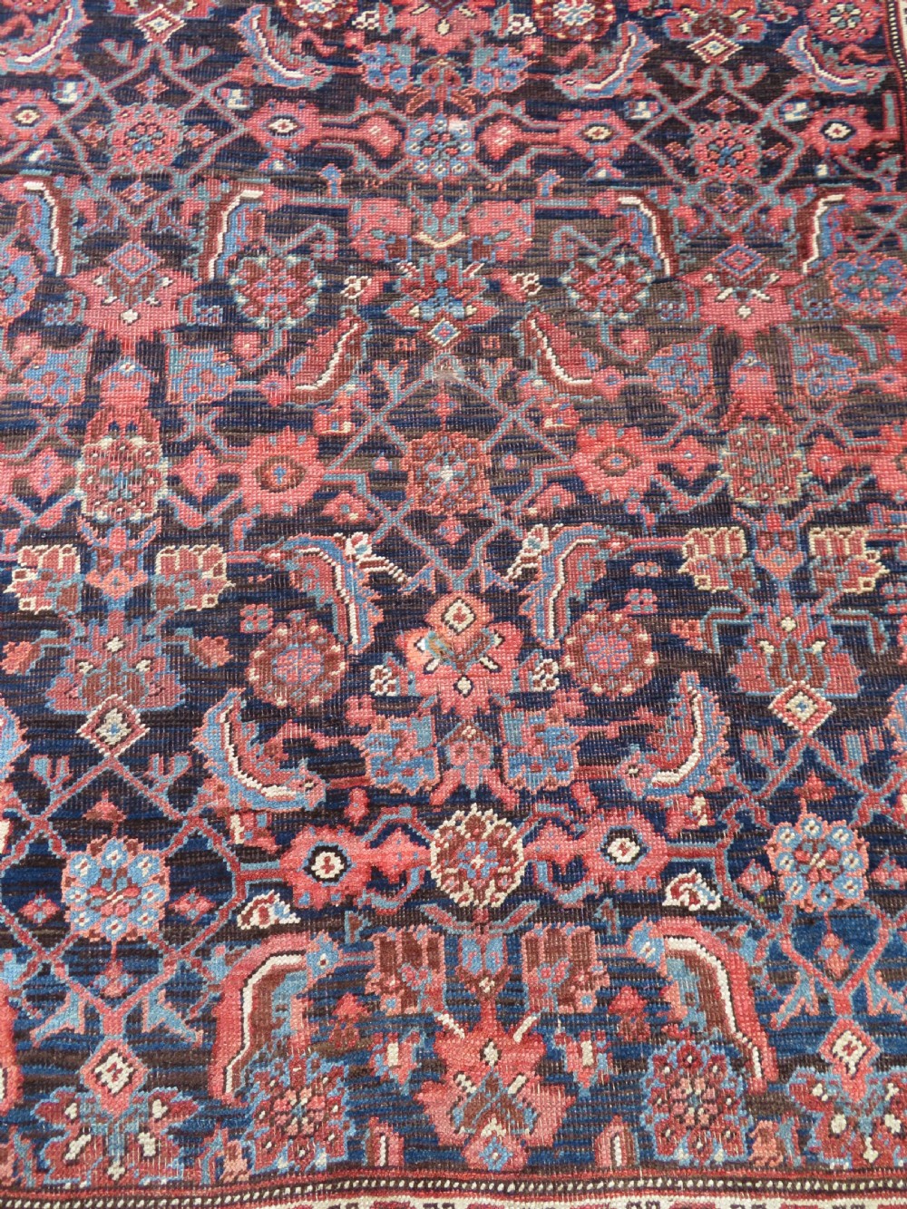 An antique Persian Bidjar Kelleh wool long rug featuring a central navy blue geometric botanical field surrounded by terracotta and blue borders. View VII