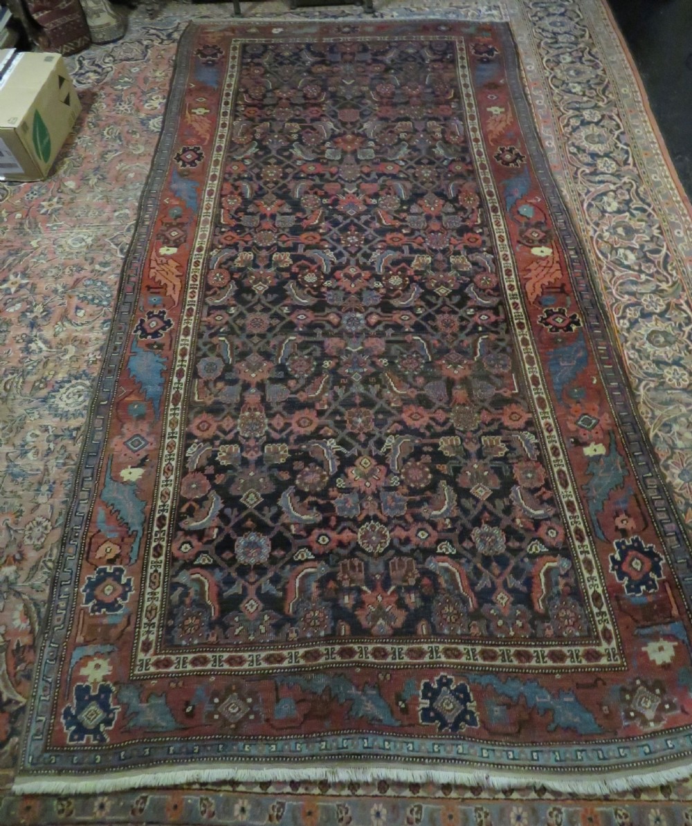 An antique Persian Bidjar Kelleh wool long rug featuring a central navy blue geometric botanical field surrounded by terracotta and blue borders. View XIX