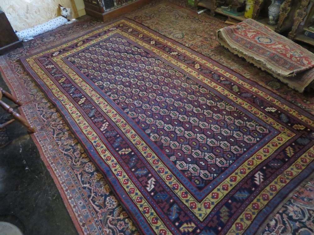 An antique hand-knotted Kurdish Kelleh long rug featuring a navy blue central field filled with repeating geometric motifs within multi-coloured yellow and red borders. View XVIII