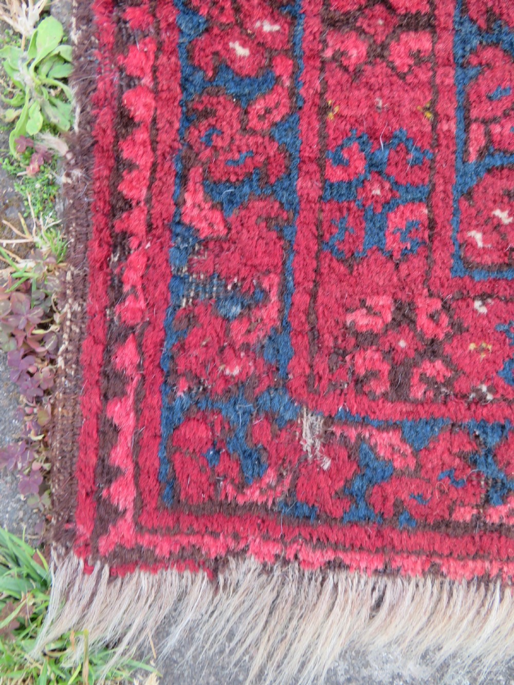 ANTIQUE BALUCH PRAYER RUG. ANTIQUE AFGHAN RUG. 138CM X 86CM. 140CM X 90CM. View VII