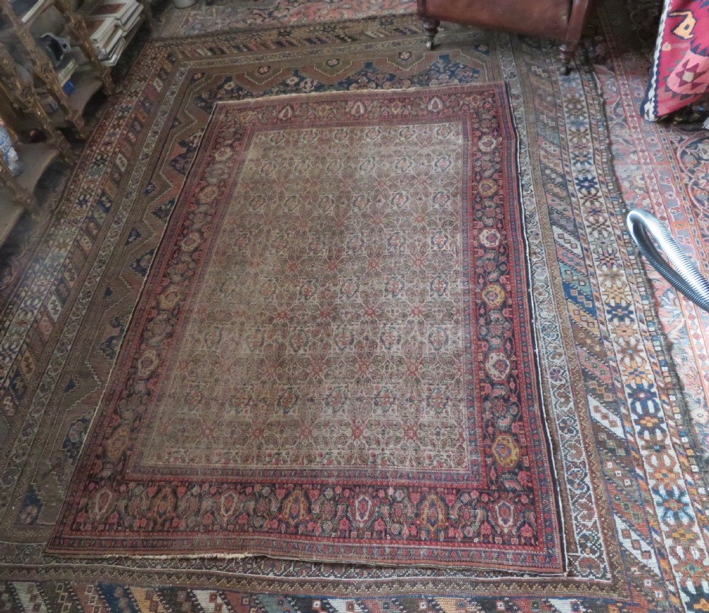 A nineteenth-century Persian Fereghan wool rug featuring an intricate all-over floral lattice pattern framed by navy and terracotta borders. View XX
